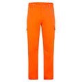 Bizweld Work FR Trousers