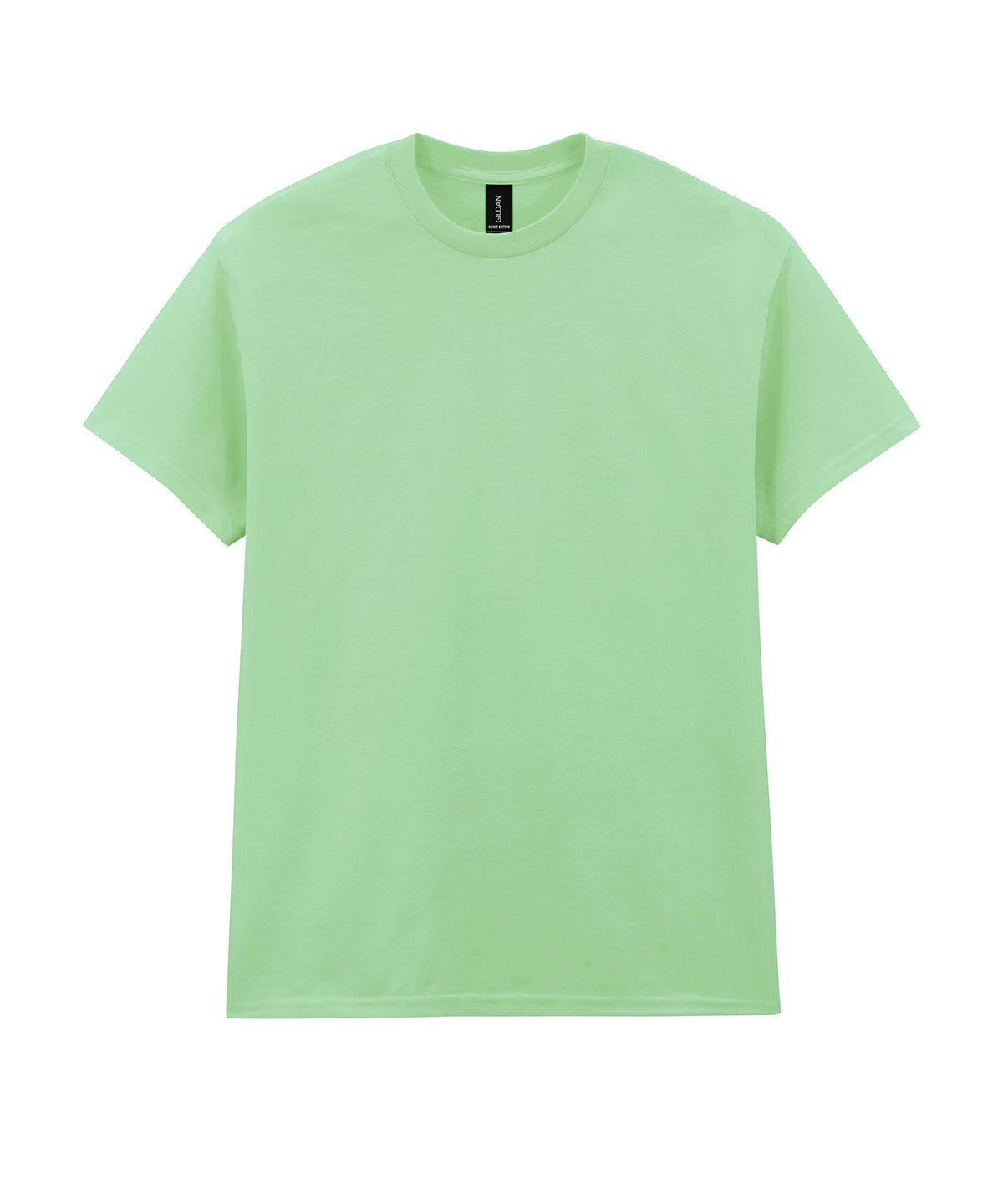 Heavy Cotton™ adult t-shirt - Mint
